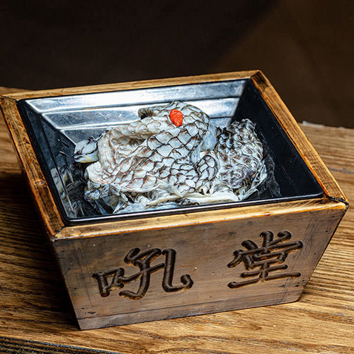 鱼皮