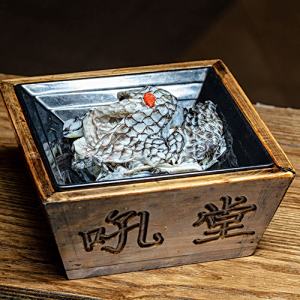 鱼皮